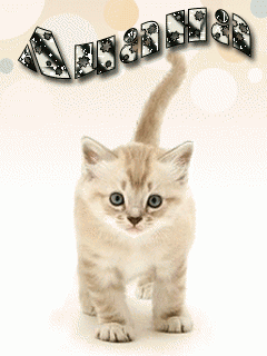 Animal Screensavers 0085